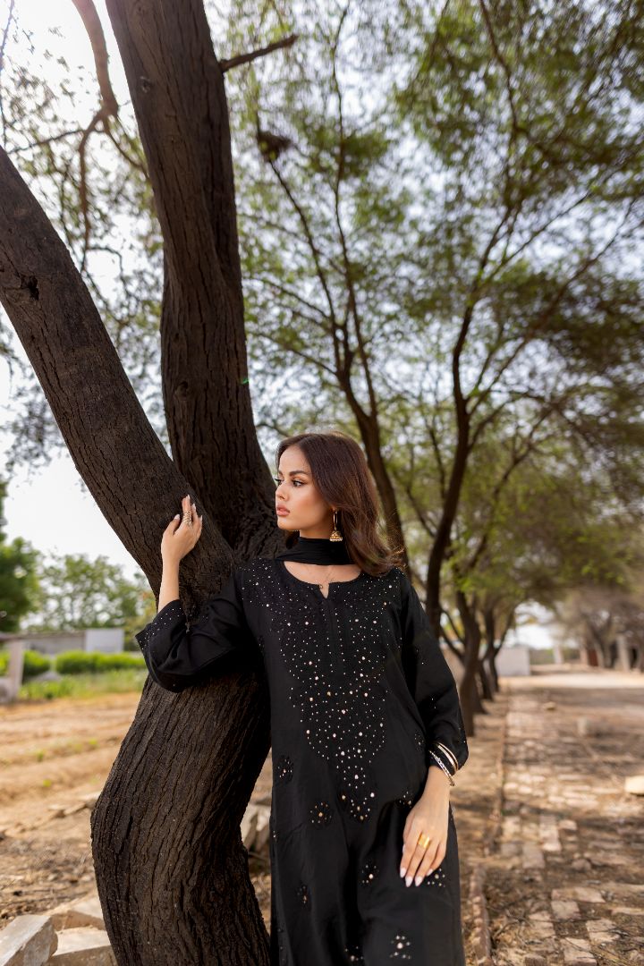 Black Mukesh Chikankari Set - Image 3